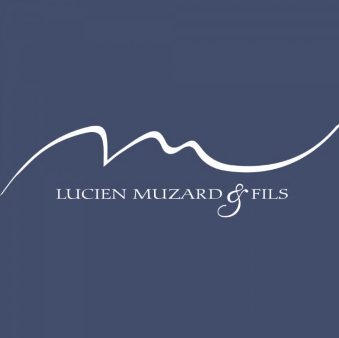 (image for) Lucien Muzard SANTENAY CLOS DES MOUCHES 2010 (GL)